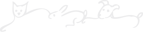 Pomoc potřebným - Zooterapie